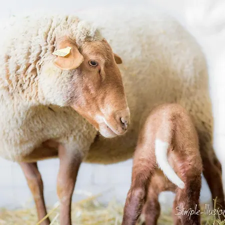 Le Percheron, Le Pont De Calmel Hotel