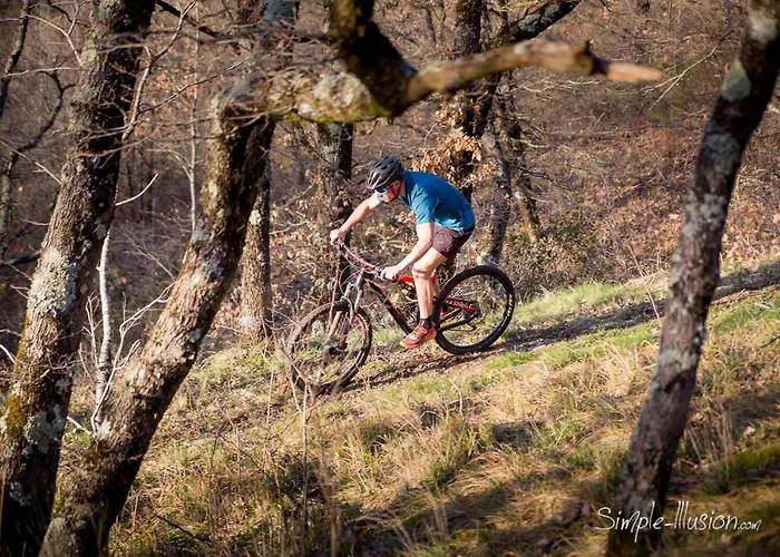 Le Percheron, Le Pont De Calmel * Rieussec