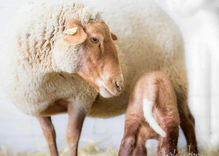 Le Percheron, Le Pont De Calmel Hotell